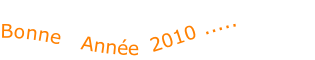 Bonne   Année  2010 .....